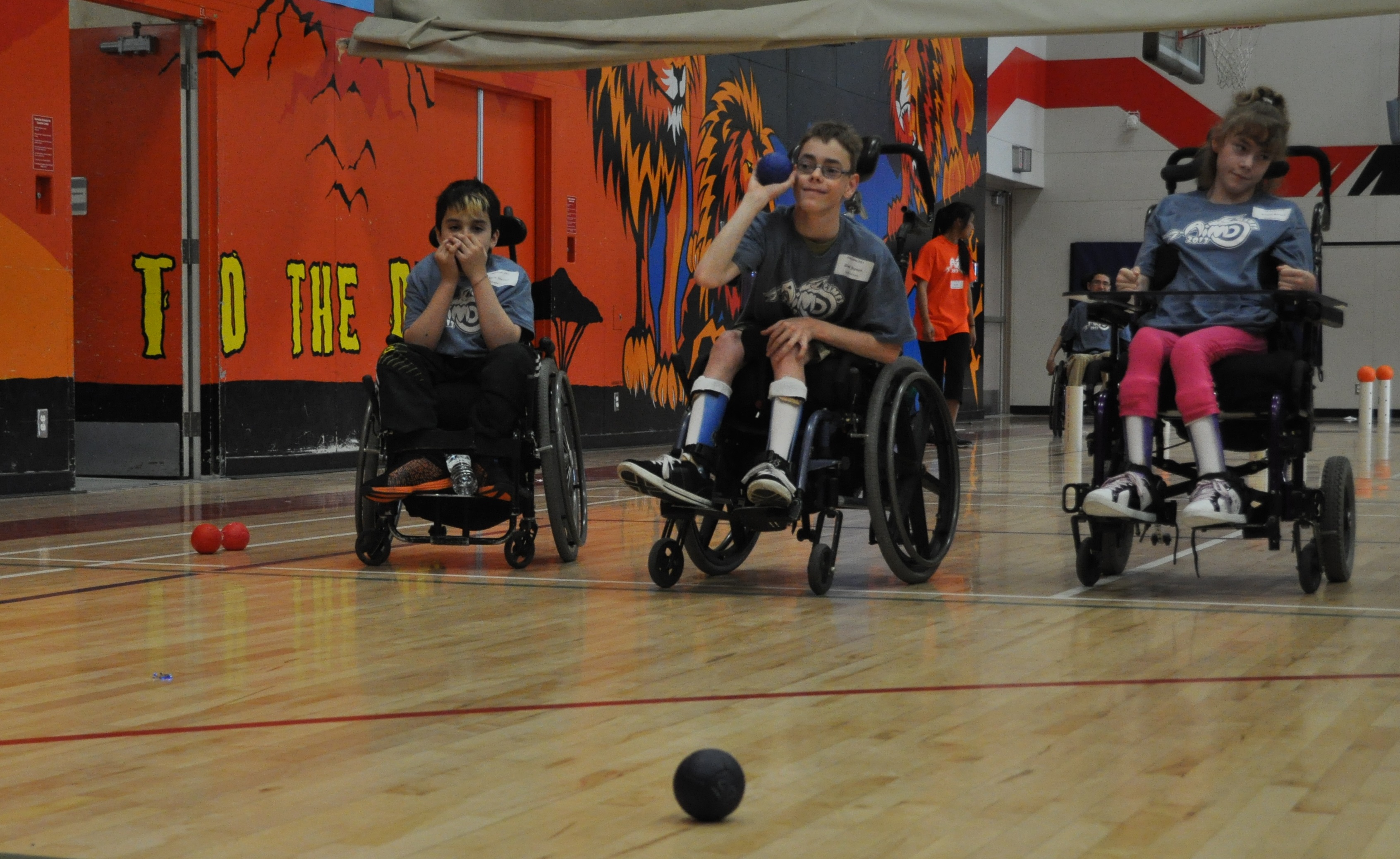 boccia.17441a64227.JPG