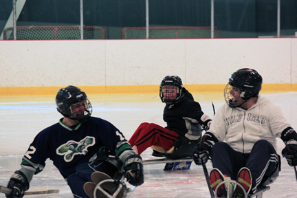 sledge1.55cfbc64463.jpg