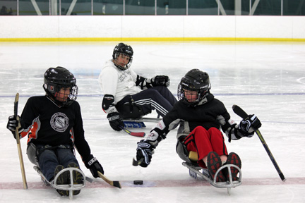 sledge3.2b1f4764465.jpg