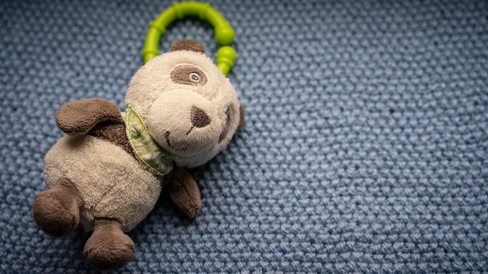 teddy-bear